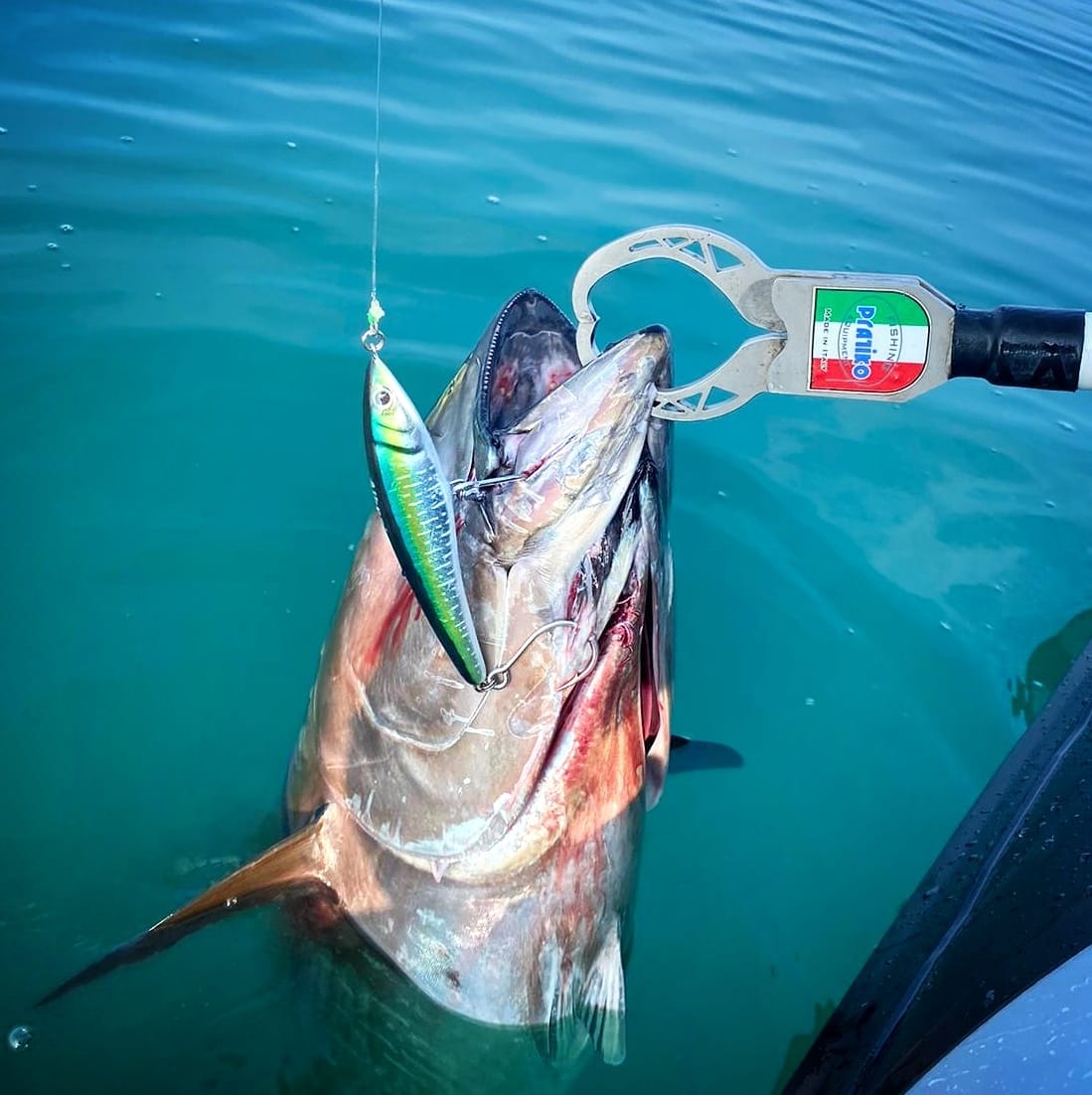 https://garonerods.com/wp-content/uploads/2021/07/Crealures-Bonito-160-Yellowfin-Tuna-Bluefin-tuna.jpeg